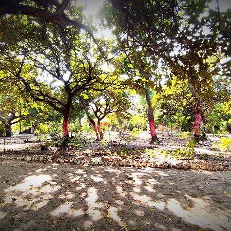 Naturubuntu Kafountine Dış mekan fotoğraf