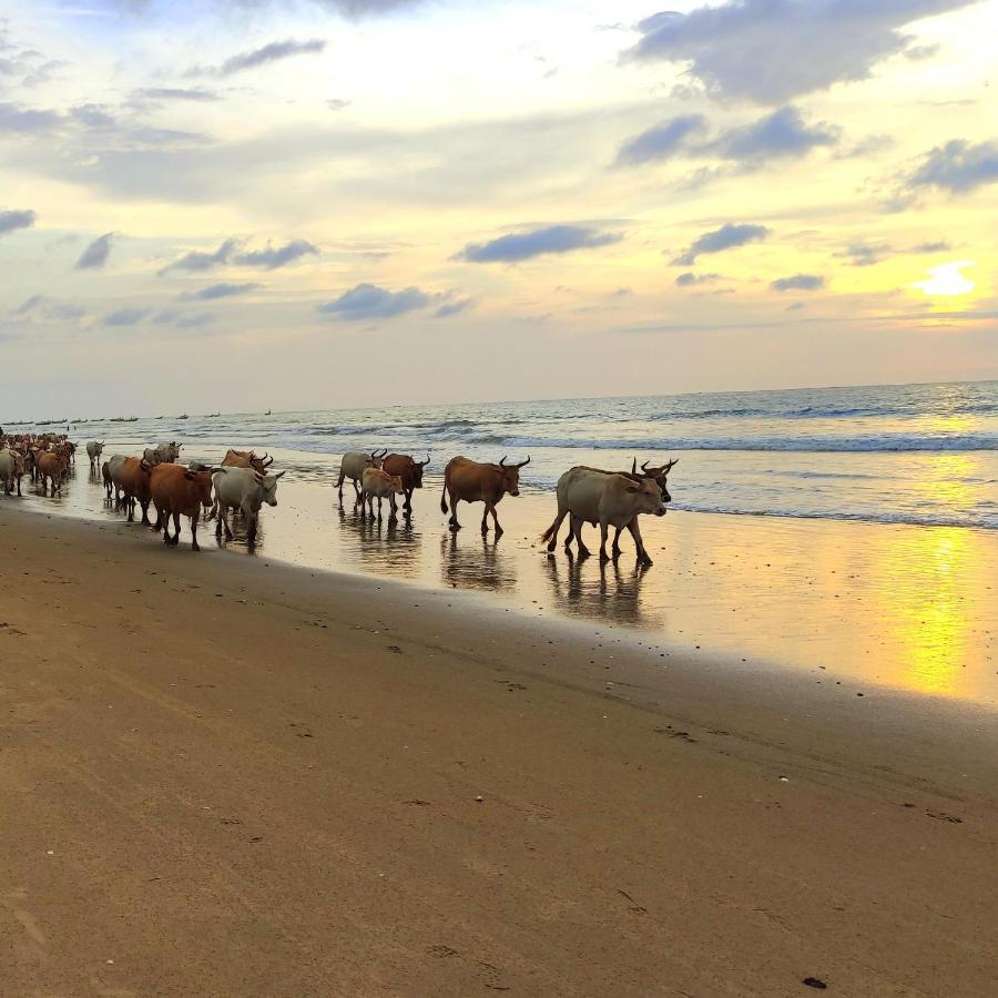 Naturubuntu Kafountine Dış mekan fotoğraf