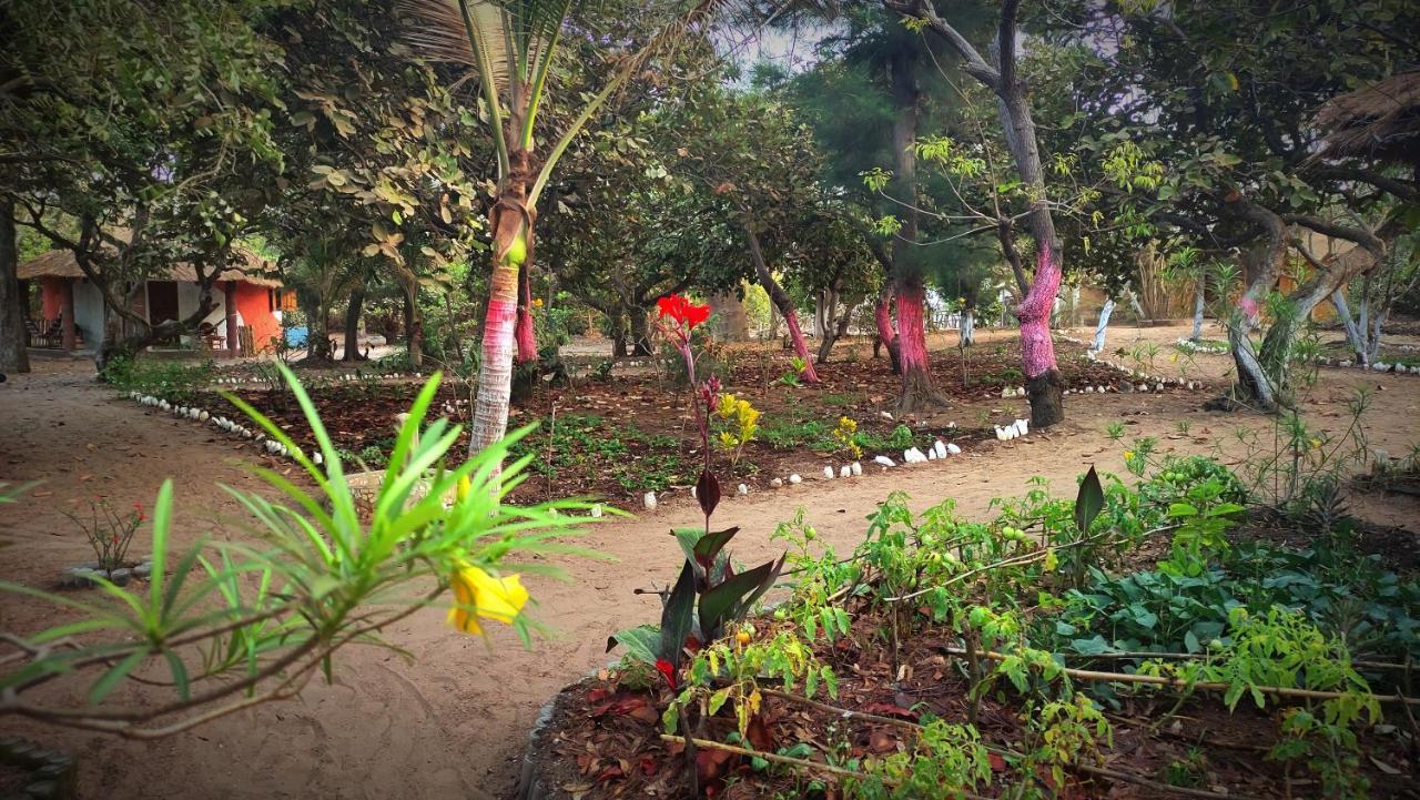 Naturubuntu Kafountine Dış mekan fotoğraf