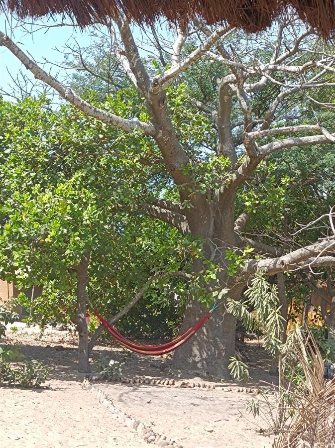 Naturubuntu Kafountine Dış mekan fotoğraf
