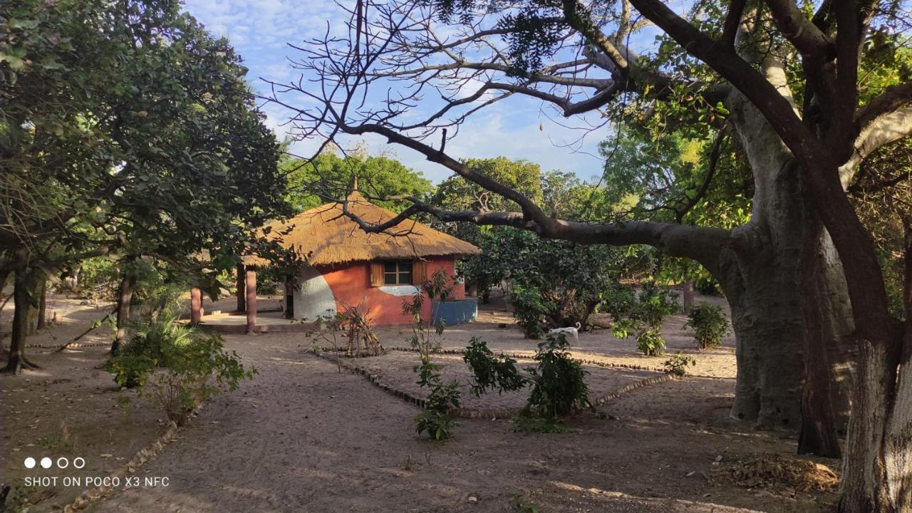 Naturubuntu Kafountine Dış mekan fotoğraf