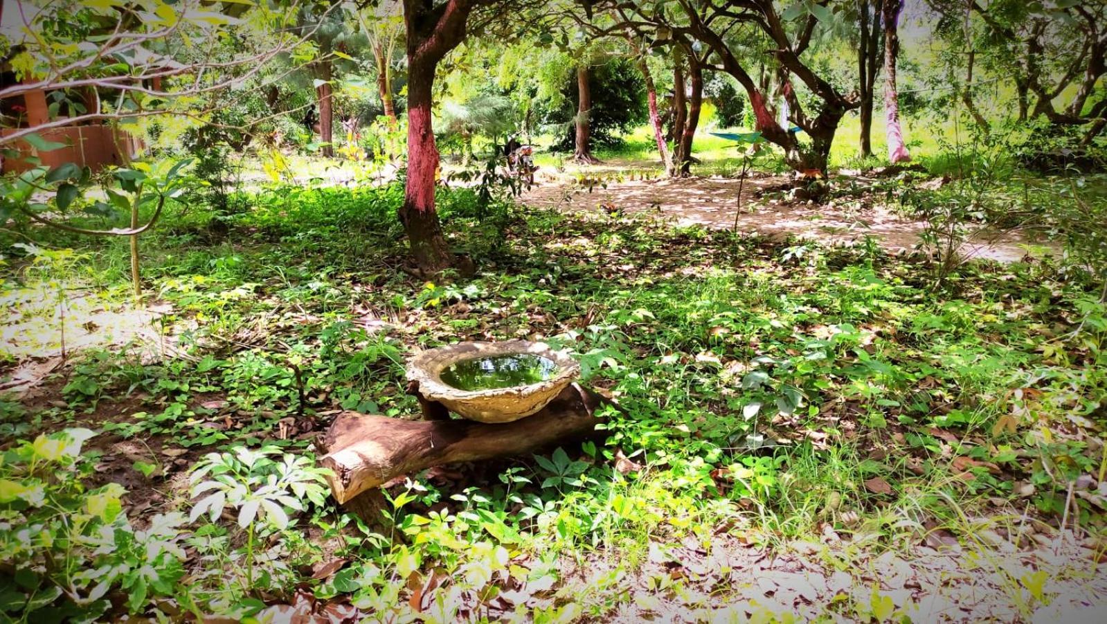 Naturubuntu Kafountine Dış mekan fotoğraf